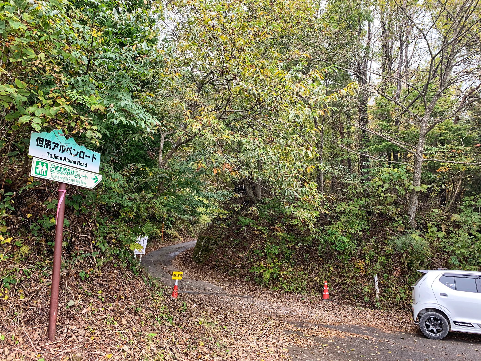 Yoyo Orz Gsx S125入院中 瀞川氷ノ山林道 紅葉はいい感じかな 休日なので対向車結構来ますw T Co Spjrrigzxy Twitter
