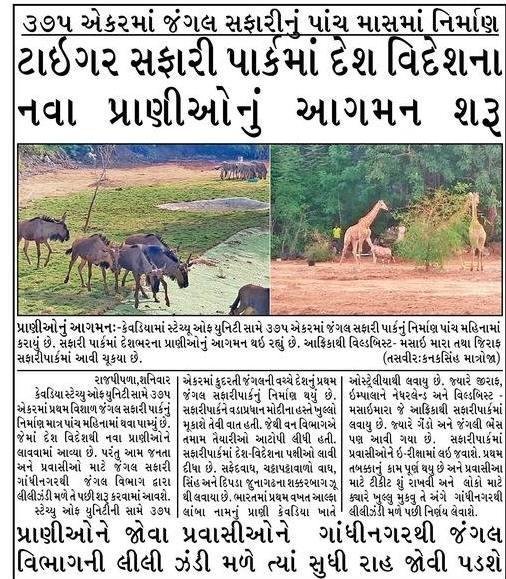 Safari Park at Kevadiya #wildlife