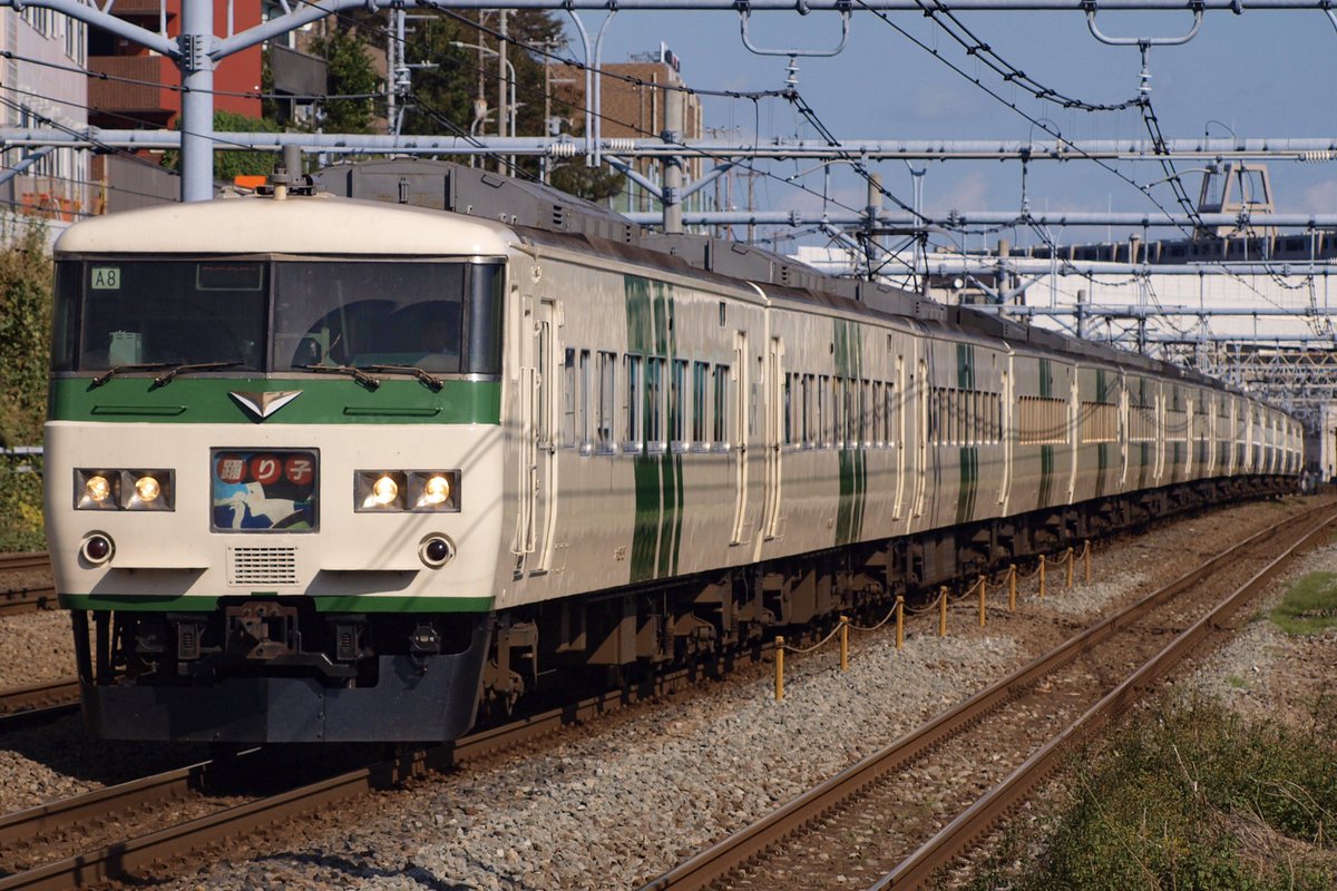 Orange Line 19 11 4 踊り子号撮影 新子安 185系0番台 特急踊り子107号 A3編成 特急踊り子 115号 A8編成 C6編成 185系0番台 特急踊り子109号 Om08編成 編成 251系 特急スーパービュー踊り子5号 Re 4編成 T Co vf9tqm9z