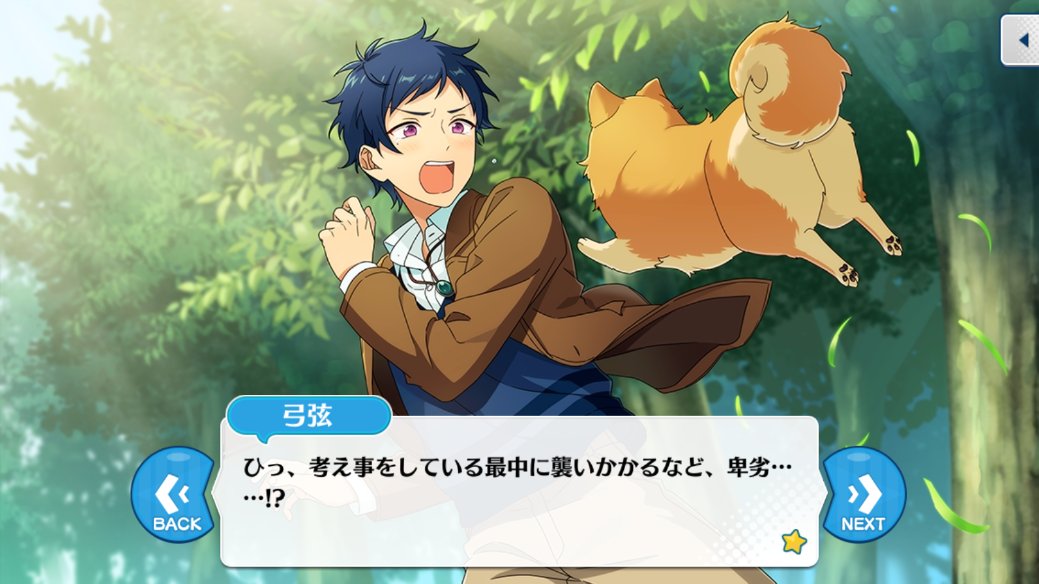 犬 Twitter
