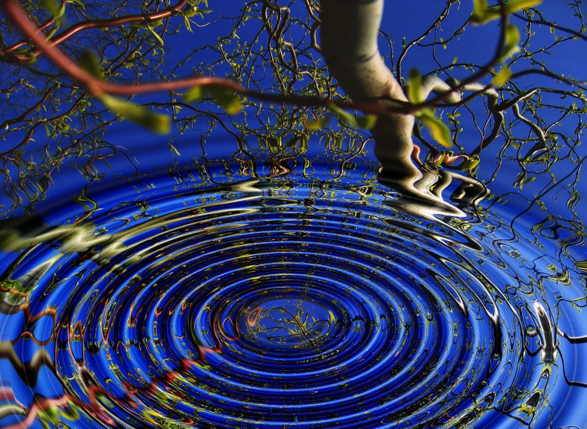 miracles__asia's tweet photo. MINDFULNESS AND ADDICTION TREATMENT
The methods with which patients are treated for their various addiction and mental health issues have evolved significantly over the last few years, and continue to evolve.

https://t.co/nOu4SPR7wi https://t.co/QrD4kndzQR
