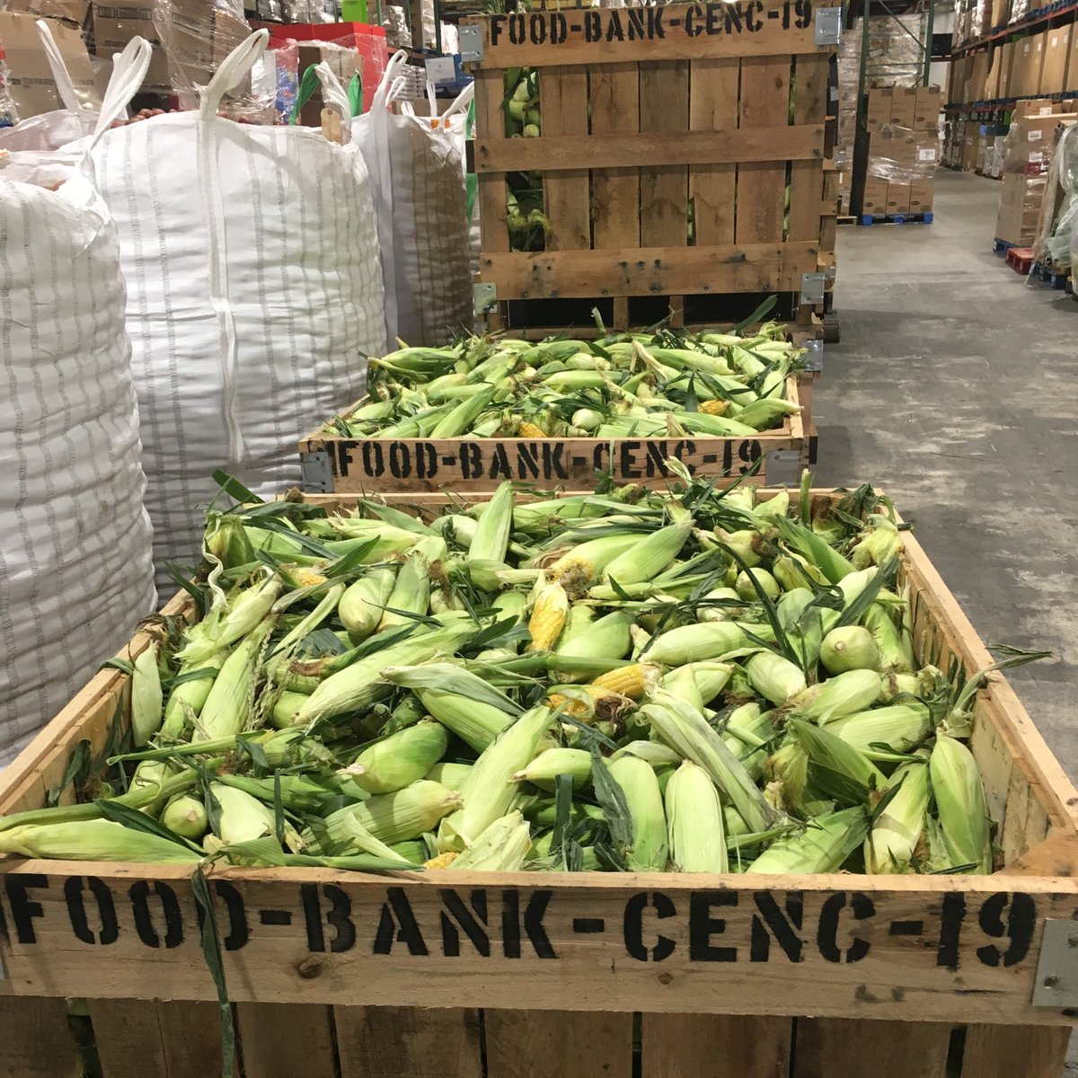 Food Bank of Central & Eastern North Carolina tweet media