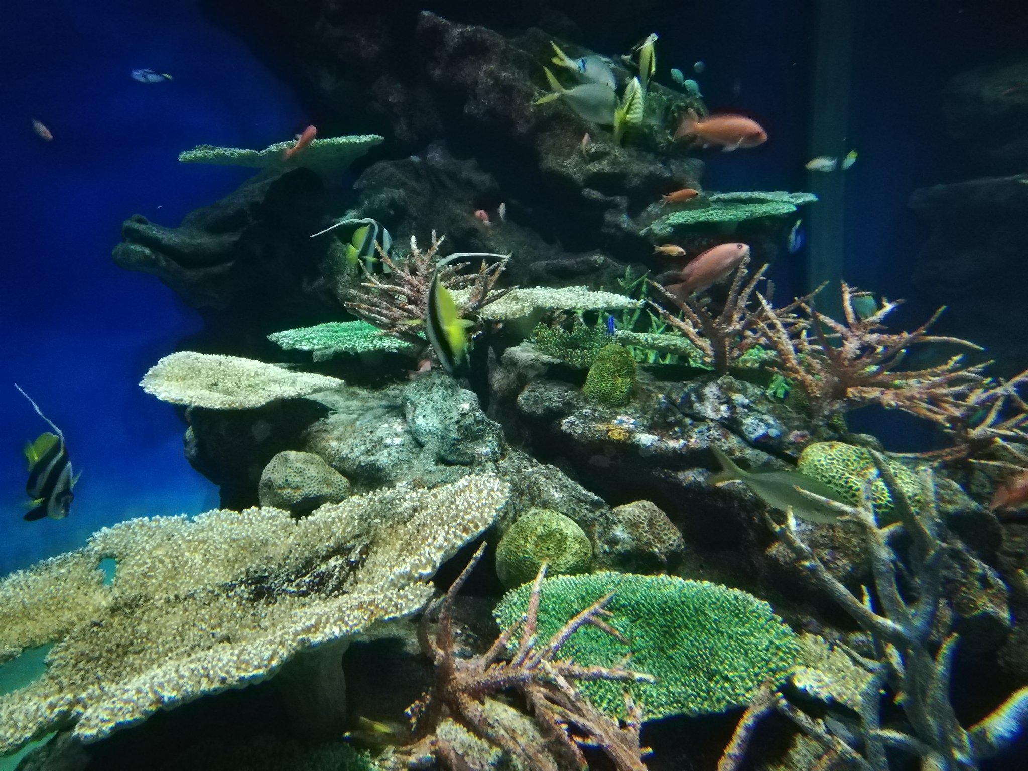 島根のおじさま Twitter Search Twitter