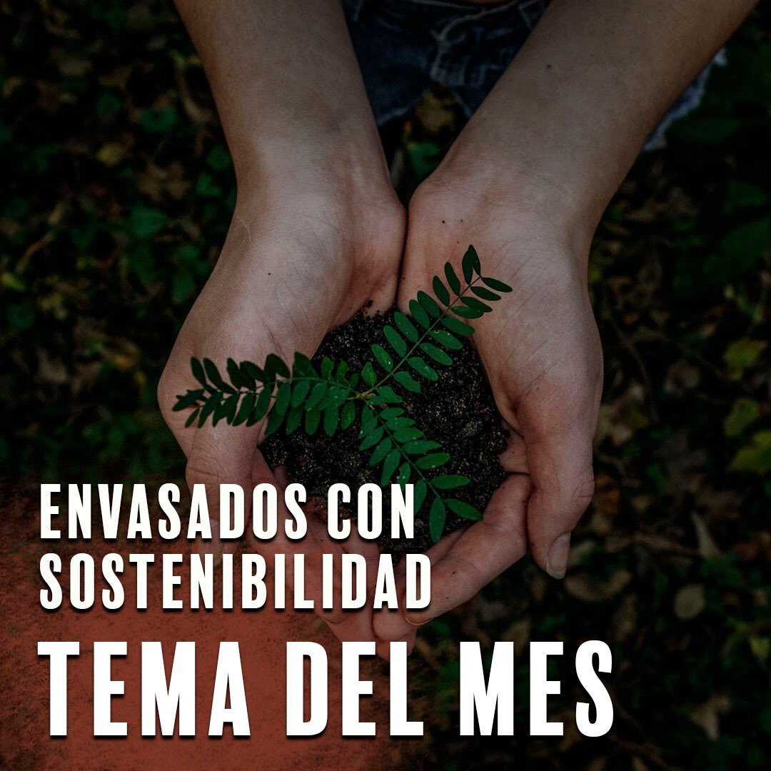 VillenaSabor's tweet photo. 🌱 Desde Villena Sabor apostamos por la sostenibilidad de nuestros envasados y seguimos la regla de las 3 erres (3R):
1. REDUCE
2. REUTILIZA
3. RECICLA
Aportamos nuestro granito de arena en esta causa global que nos concierne a todos: CUIDAR DE NUESTRO PLANETA 
#Granada #Villena https://t.co/MRviEqs8mk