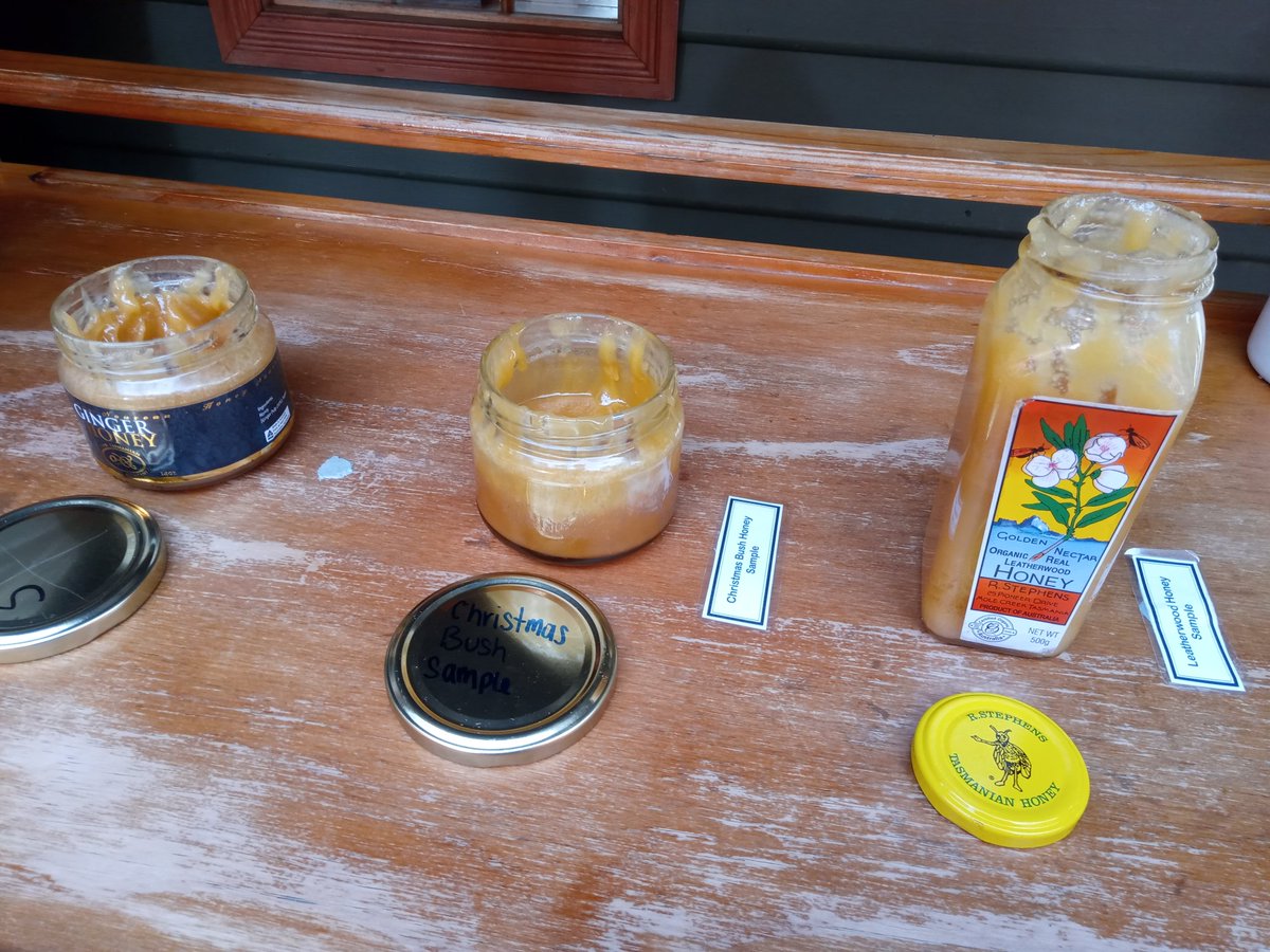 mikenarrowgauge's tweet photo. They do #Tasmanian #Leatherwood #Honey tasting at Lower Landing on the @WCWRTas in @tasmania too! 😋👍😎🇦🇺 https://t.co/6hwaWz04DJ