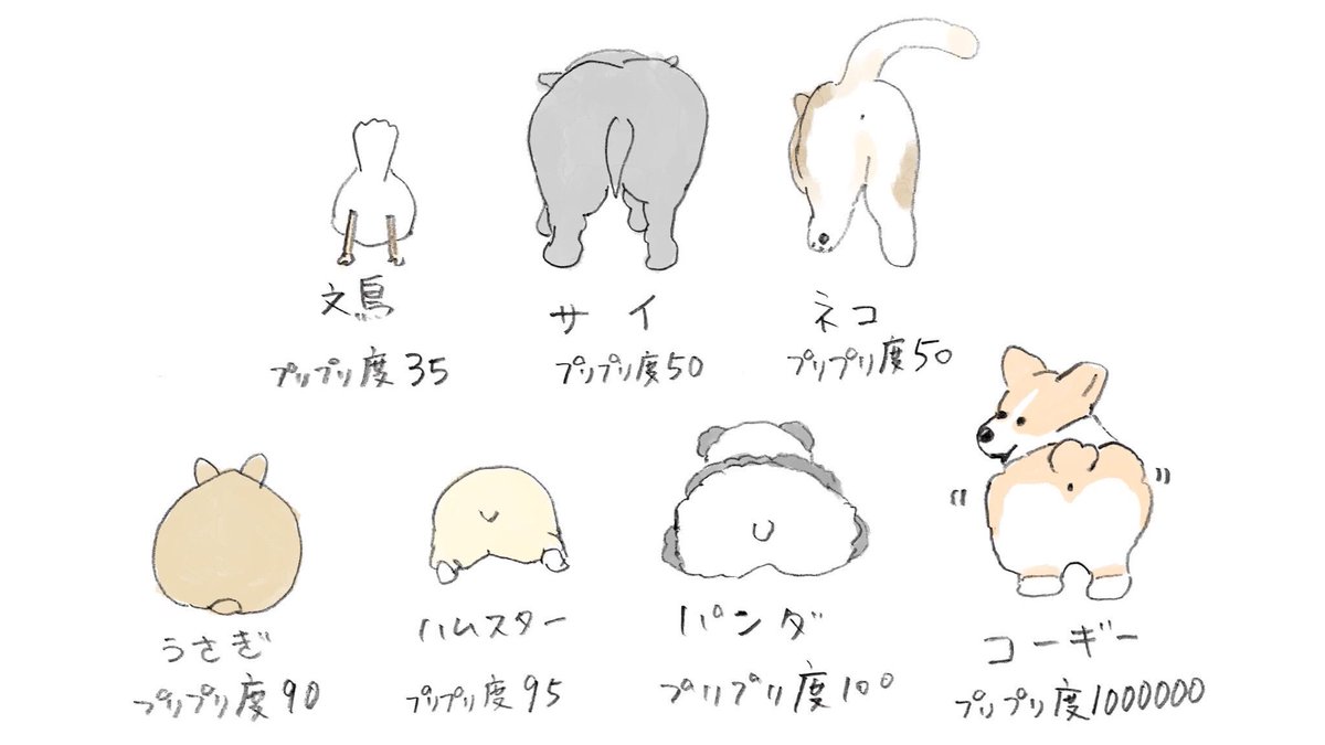 動物のおしりをのぞいてみよう!
プリプリ度が分かる!イラスト付き
#いいおしりの日 