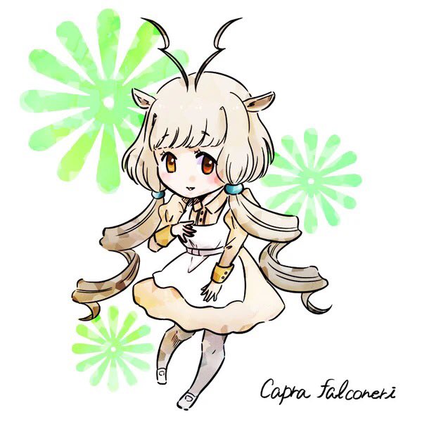 Honoka けものフレンズはやっぱりマーコールさん いい推しの日 T Co Pvmmoxlyjs Twitter