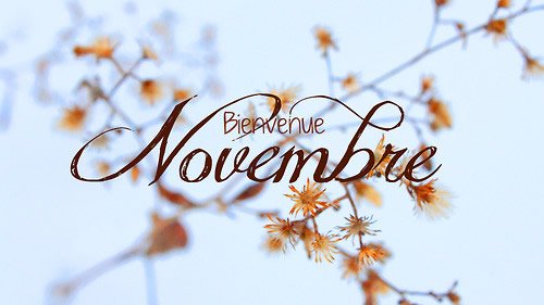 InstedChamonix's tweet photo. November events in Chamonix 👉https://t.co/f1LH2oL88h👈
#novemberwish #November #MondayMotivation https://t.co/axybOR6U3V