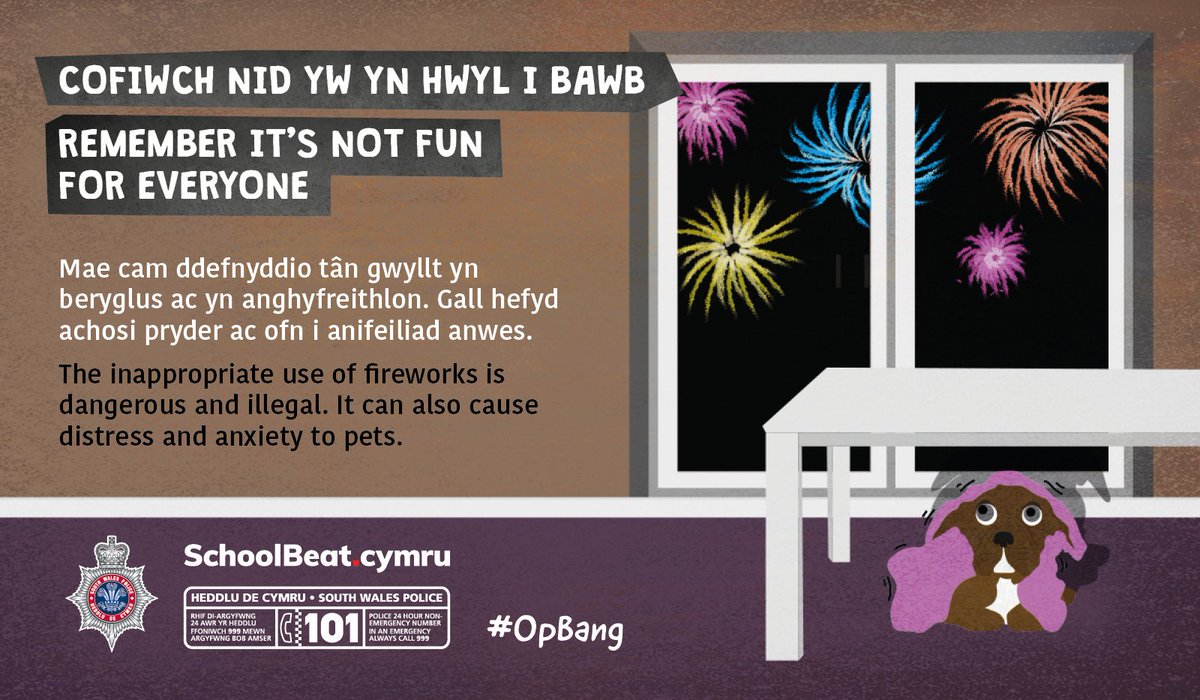 swpolice's tweet image. 🎇 Fireworks can be pretty spectacular – but if misused they can also be dangerous.

If you're marking Bonfire Night over the next couple of days, please be considerate of those who don't find this time of the year very enjoyable.

#NotFunForEveryone 

^hs
