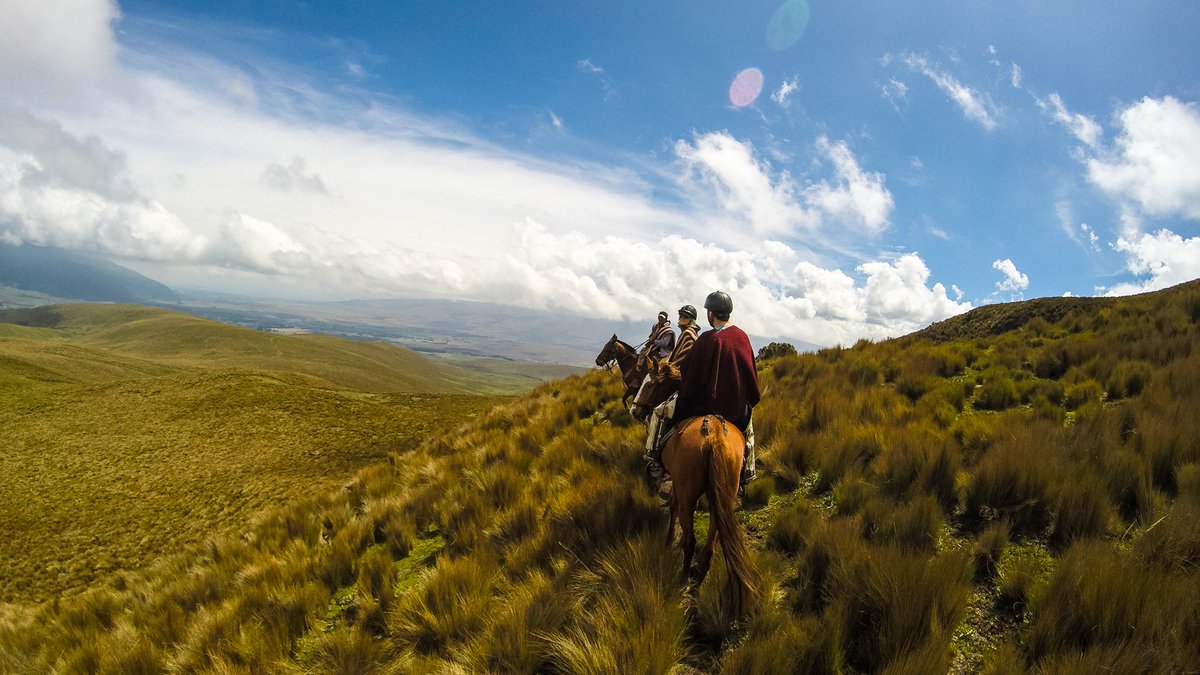 Blue sky day near Cotopaxi...perfect weather for a horse ride!