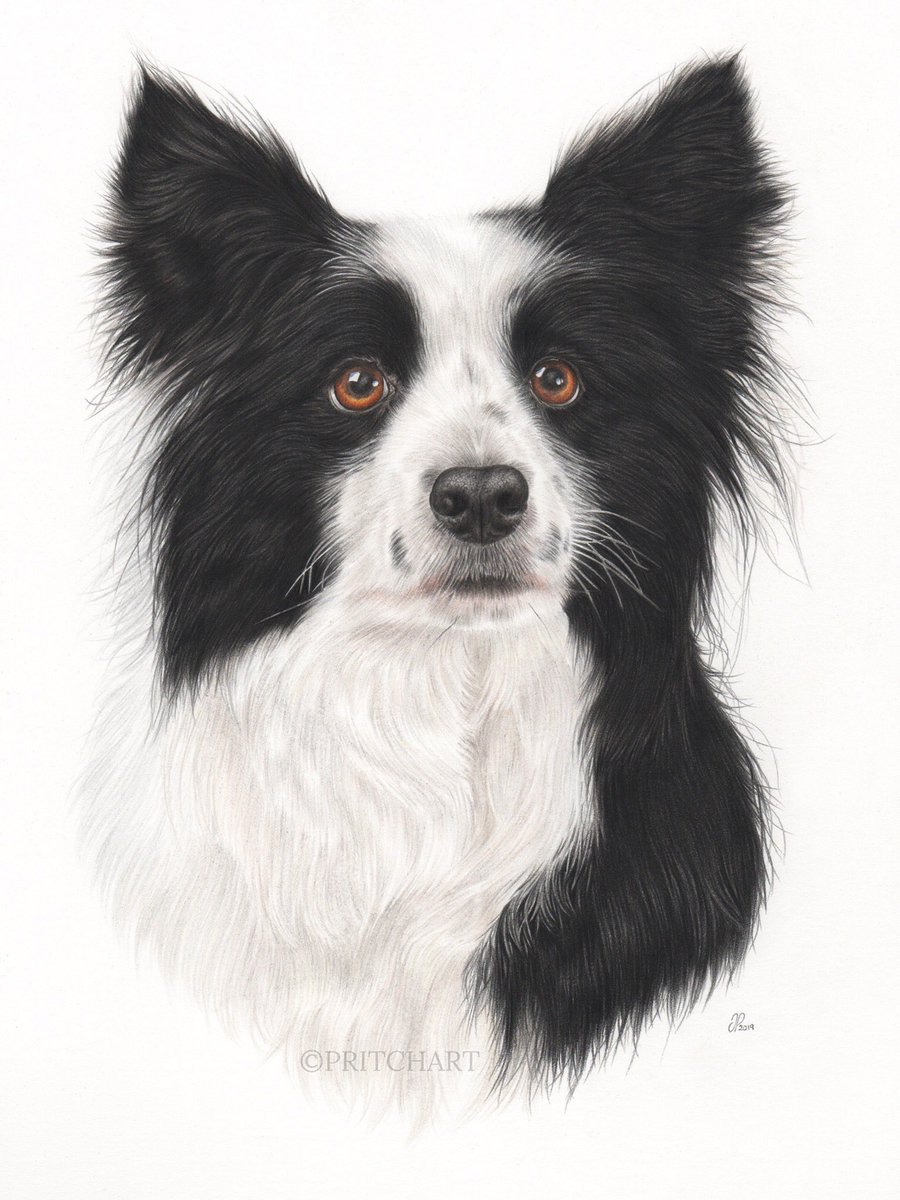 Pritch Art tweet media