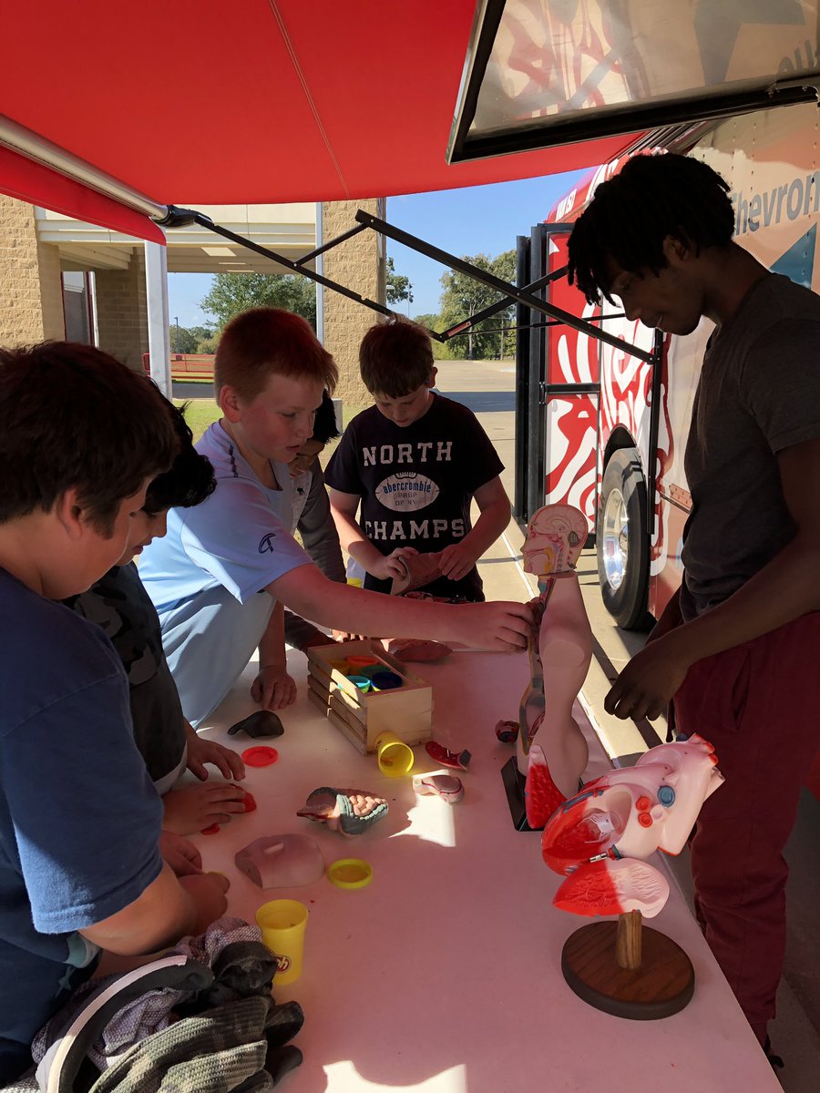 moffatt_teach's tweet image. It’s a beautiful day @VanMiddleSchool to STEAM-ify their 5th grade reading classes! Learning all about Morquio Syndrome from the book “Freak the Mighty”! @AmyParish8 @JJVandal @JJKellum_18 #VanEdTech #STEAM