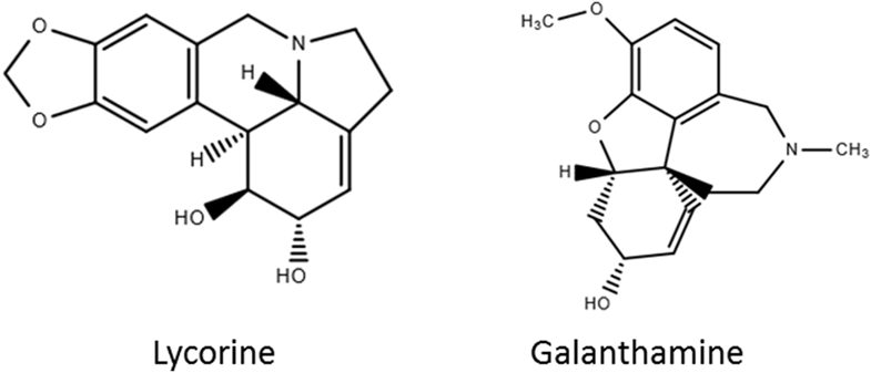 SNApplSci's tweet photo. Combination of coagulant-assisted and SPE purification for the HPLC determination of lycorine and galanthamine in various foods by Jun Sugiura, Tomoyuki Tsuchiyama et al. (Nagoya City Public Health Research Institute, Japan)
#Lycorine #Galanthamine #HPLC
https://t.co/g0XWIbZ9yv https://t.co/1dQaJrLYpn