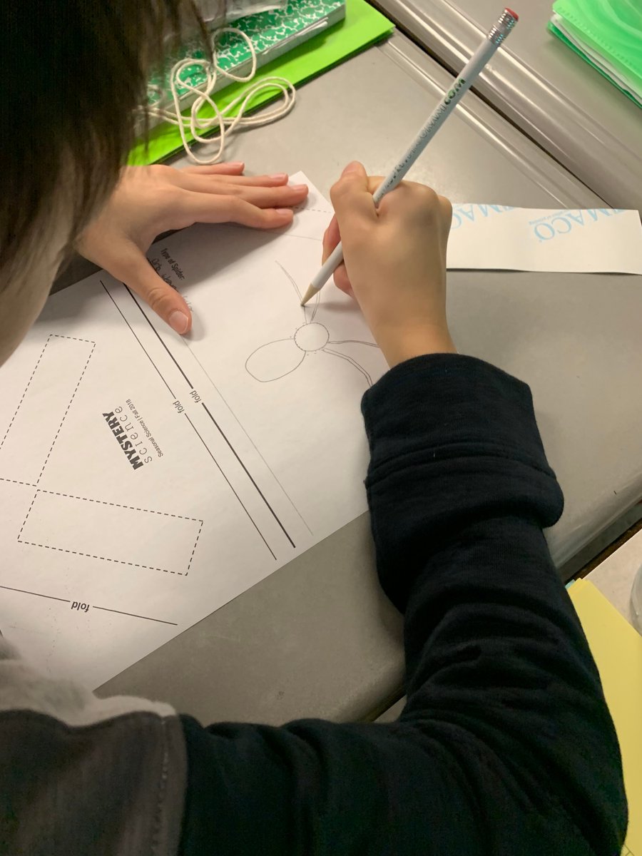 <a href="/skyview_msd/">Skyview Upper El</a> Team Storm Chasers had a special #STEM day for Halloween! Engineering feats with the pumpkin challenge, spider climbers, and mystery crime scenes. #Creativity <a href="/Methacton/">Methacton Schools</a>