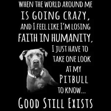 Like if you agree
#superproudpittyparents #superproudpittyparent #proudpittyparents #proudpittyparent #proudpittymom #proudpittydad #pitbullsforlife #pitbullpassion #pitbullstrong #pittylove #pitsofinstagram #pitbullsofinstagram #beautifulpitbulls