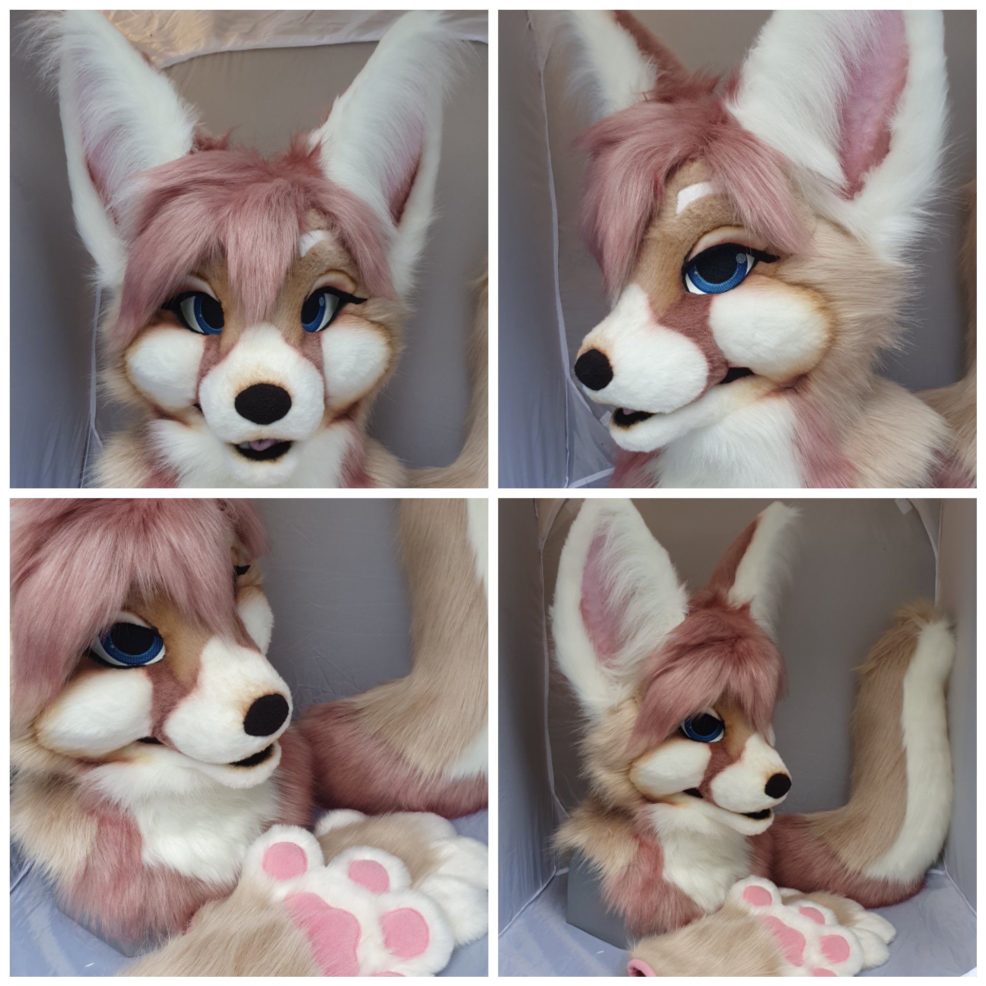 Fennec Fox Fursuit