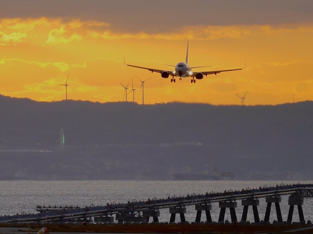 Jongeres 21年の最高 ベアドゥ 壁紙