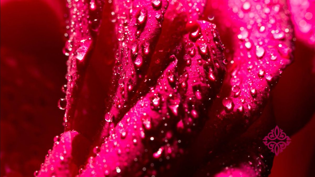 UtiqueUK's tweet photo. #Utique Ruby blossoms on your skin. Heavy need for the lush life? One drop is enough.
-----
#Luxury #UtiqueUK #FMworldNoLimits #PerfectGift https://t.co/V9DUQBM3qm