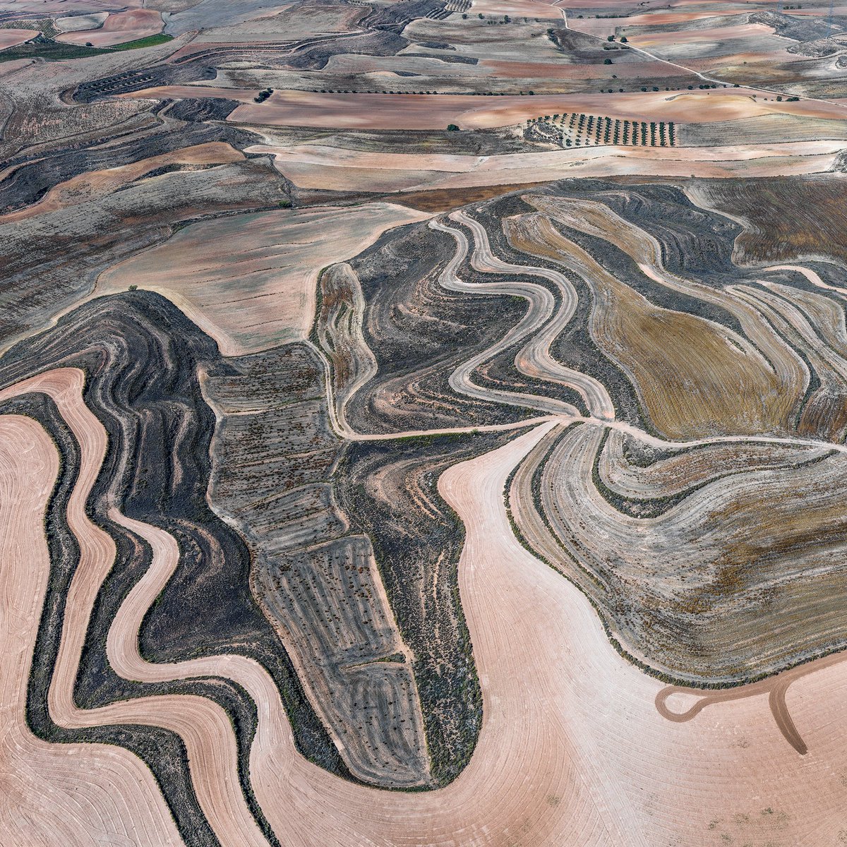 Hasselblad's tweet photo. #MediumFormatMonday
Hans Strand explores the interference of humans on nature from the air in his project, Manmade Land.
Hans relied on the #Hasselblad H6D-100C, coupled with both the HC 3,5/50 II and HC 2,8/80 lenses, for precision and high resolution.
https://t.co/RYv9FV0KKN https://t.co/lotUu29rcZ