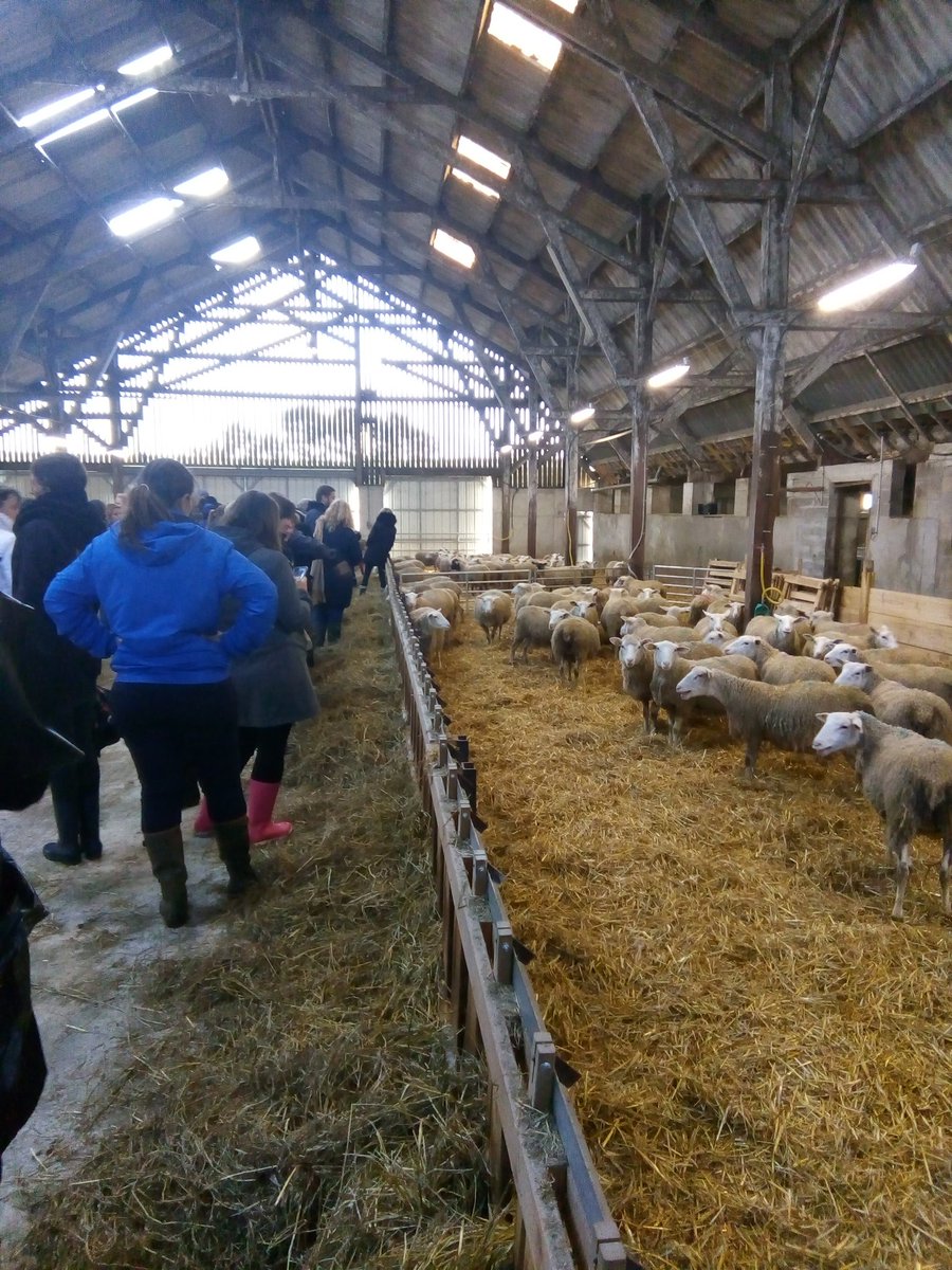 EC_Bretagne's tweet photo. À la découverte des bac pro élevage au #Nivot à #Loperec. Les enseignants des collèges sont sensibilisés à la voie pro #voiepro #excellencepro https://t.co/F0WRBLq5Rn