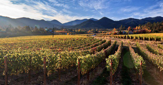Taste USA (@tasteusa_ca) on Twitter photo Are you ready for some Oregon wines <a href="/oregonwineboard/">Oregon Wine</a>? How about a fun little brain teaser to test your Oregon wine knowledge before tasting it at <a href="/EAT_Vancouver/">EAT! Vancouver</a>! amzn.to/2N7ILva Are you ready for some Oregon wines <a href="/oregonwineboard/">Oregon Wine</a>? How about a fun little brain teaser to test your Oregon wine knowledge before tasting it at <a href="/EAT_Vancouver/">EAT! Vancouver</a>! amzn.to/2N7ILva