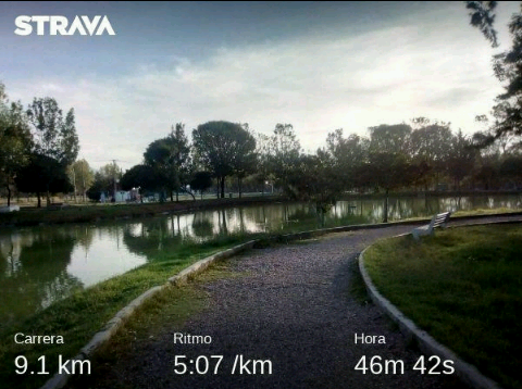 vicent2361's tweet photo. Buenos días 🌅 #runners #YoElegiCorrer 👟👟💨💨💨🏃🏃 en el #TemploRunner 9.1 Km. 👊💪💯 Que tengan un excelente inicio de semana #FelizLunes  éxito en todas sus actividades #aquiyasecorrio #runnerspuebla #Ridersrunning #RunningMan #Marathorunners #RunMotivacion https://t.co/SF1BjvOYvo