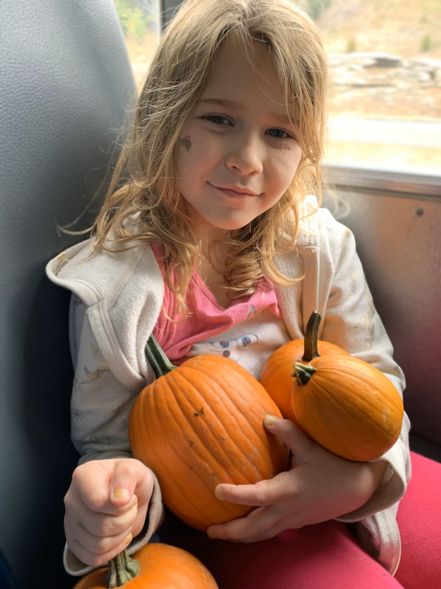 CaldwellRusBlvd's tweet image. #PumpkinPatchFun #TrustyHuskies🐾 #CPSBest #BusRide #FieldTrip