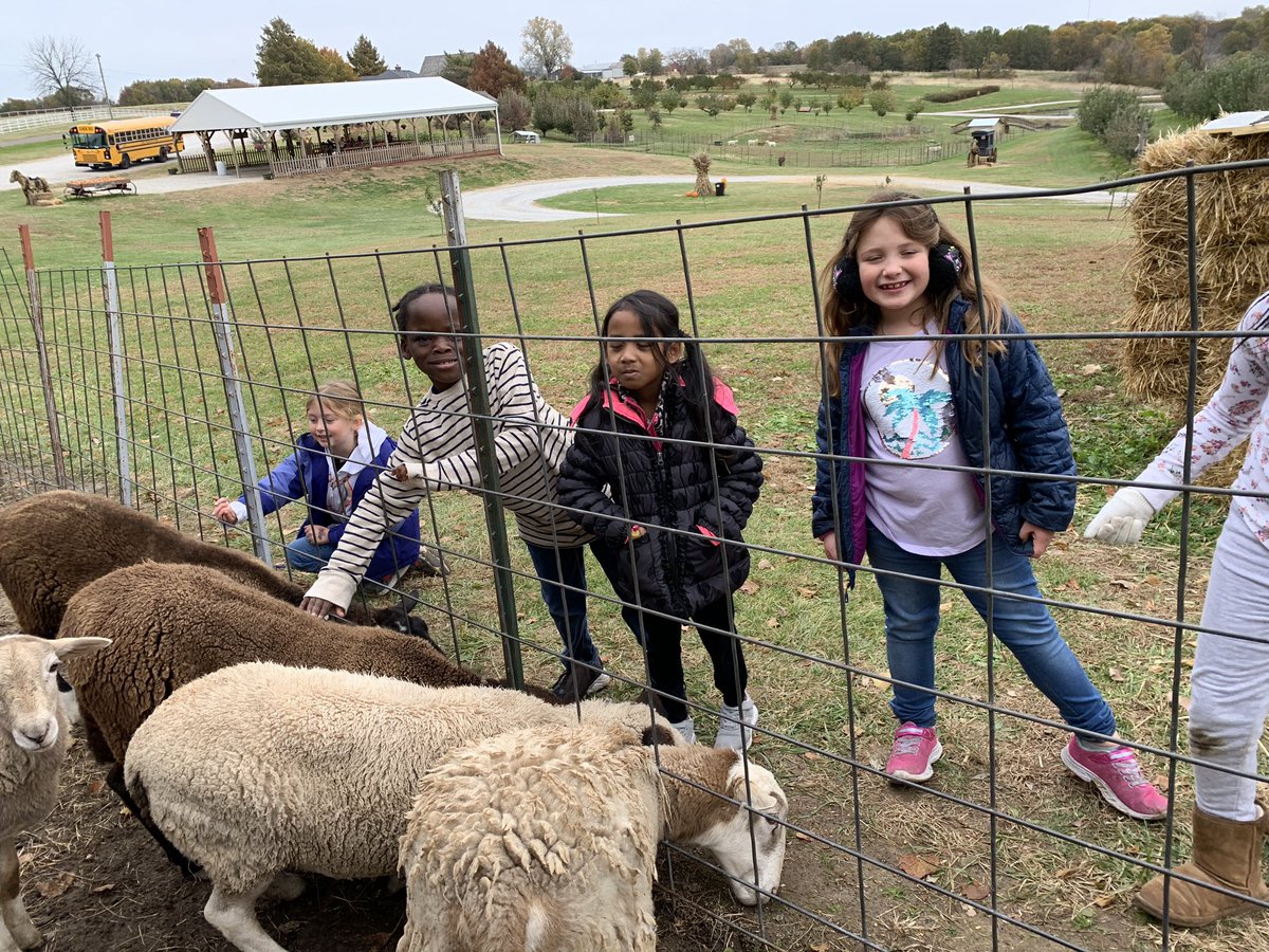 CaldwellRusBlvd's tweet image. #PumpkinPatchFun #TrustyHuskies🐾 #CPSBest