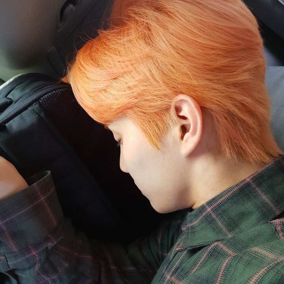 [제이콥] 생축 큐큐큐큐큐큐~ 잘 자니까 보기좋네 😛 good to know Q can sleep in any position 🥰 #itakesleepingpics #hobby #생축 #큐큐큐큐큐큐큐큐