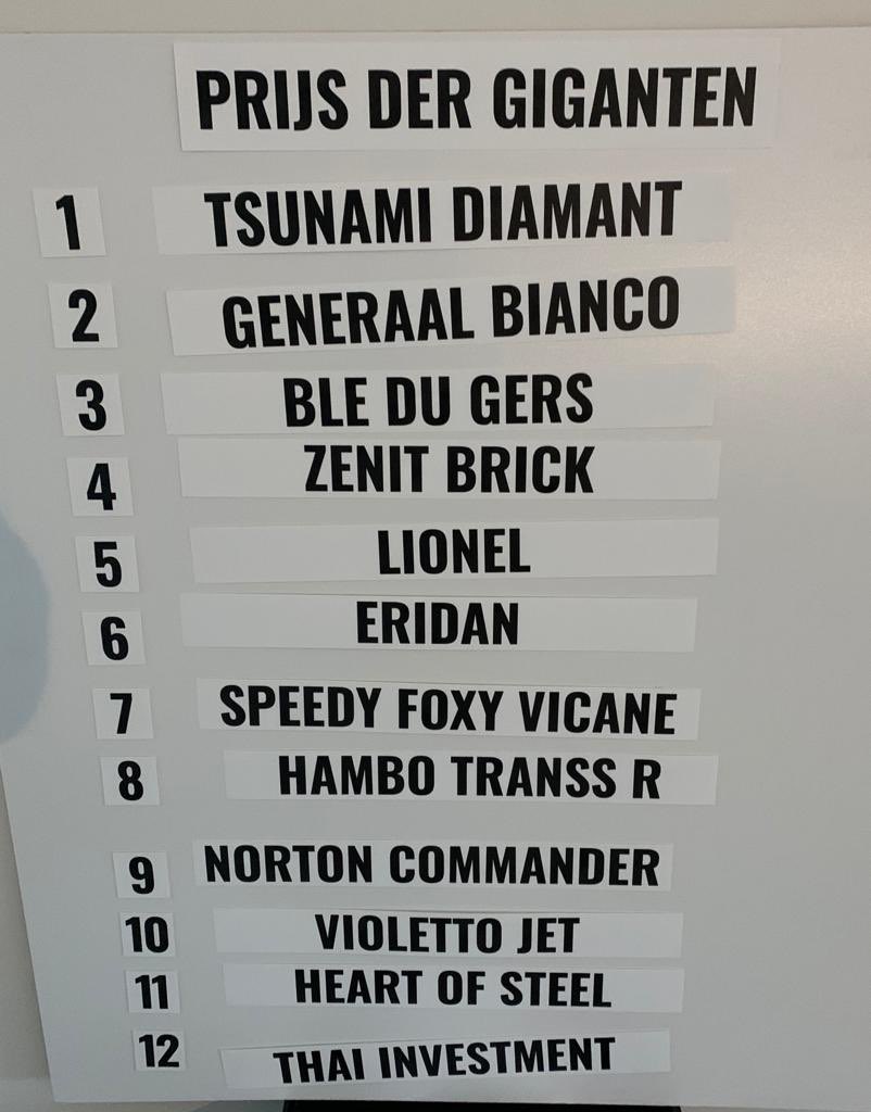 VictoriaparkVpw's tweet image. PRIJS DER GIGANTEN 2019! 
Get ready for the highlight of the year. 12 top horses will battle for €66.000! @travronden @LeTrot @FranckNivard @goranantonsen