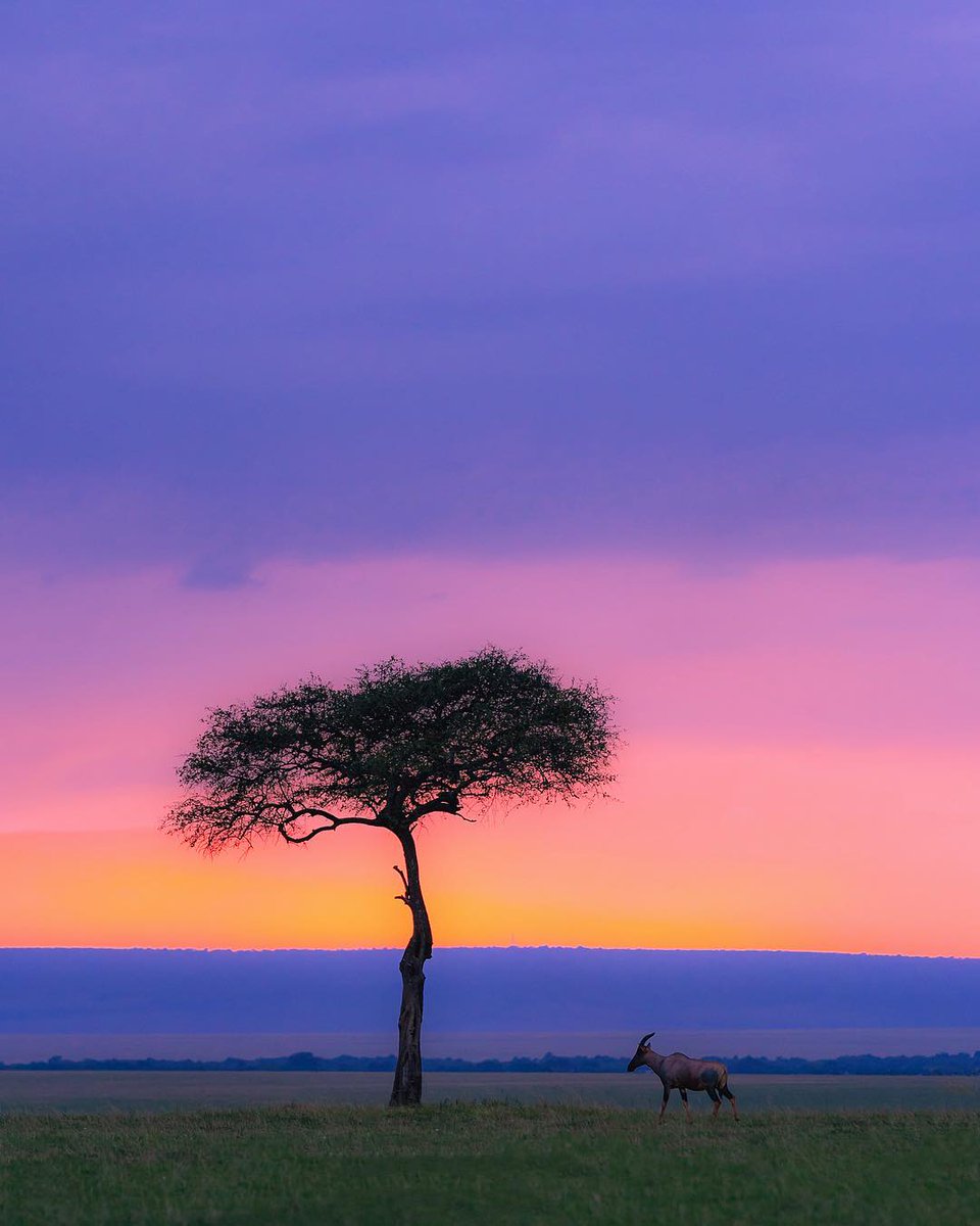 Watching the exploding hues on this horizon in the Maasai Mara. Photos by Jasper Ivan Iturriaga