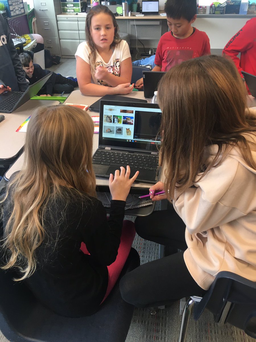 Mallory Schneider tweet media