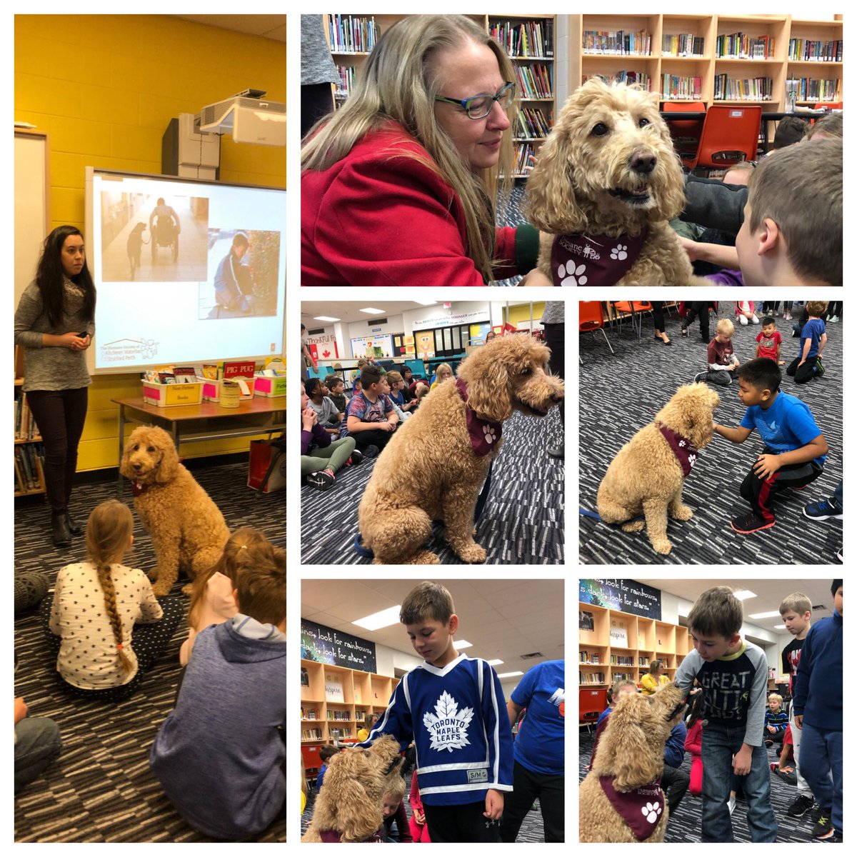 Mackenzie King PS tweet media