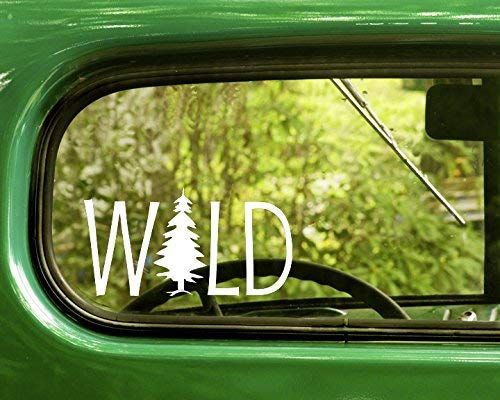 WickedEdTech's tweet photo. The research says we need to bring more natural images to our classroom to enhance the learning environment. Here are a few that might inspire you? https://t.co/7Wnx3Y5tep  #mwgs https://t.co/6j9wkGjtrN