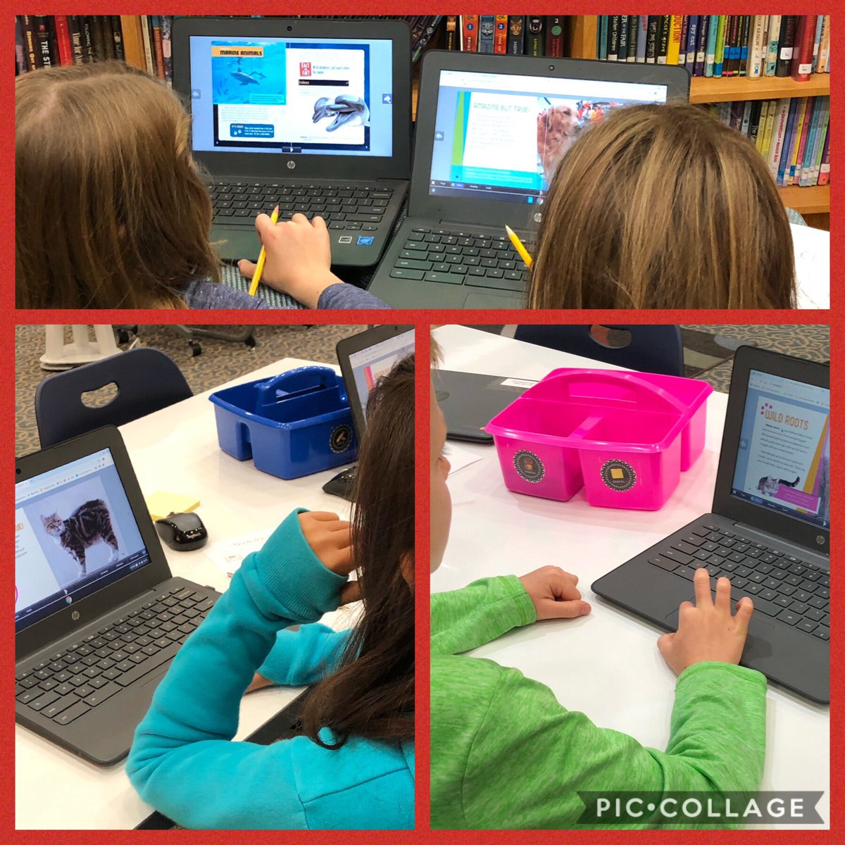 3rd grade <a href="/sre23challenge/">Cyndi Hill</a> searching for nonfiction text features using our new eBooks in the library. <a href="/SmokyRow1/">Smoky Row Elementary</a> The hunt is on!
