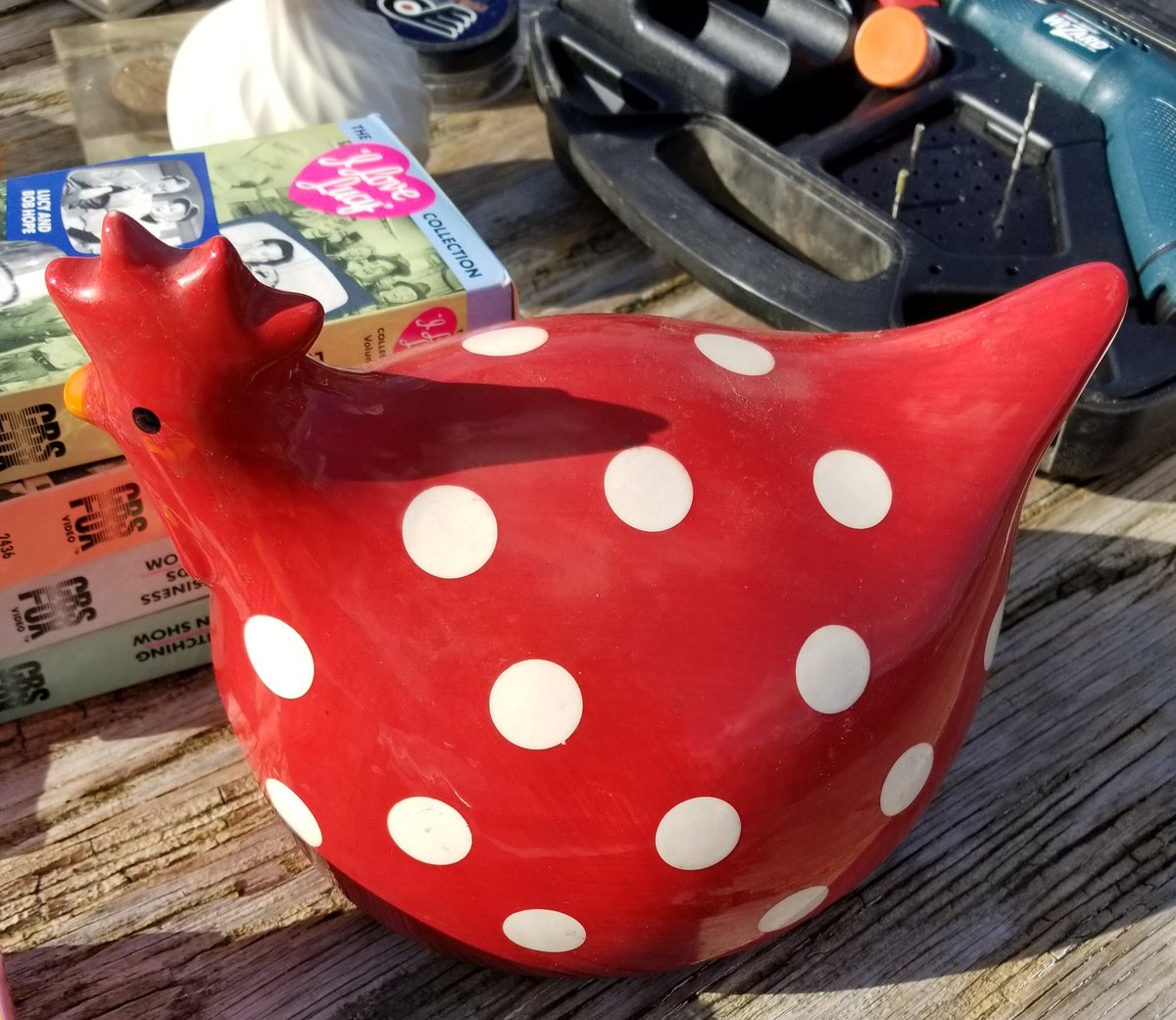 ~That's it! I'm giving you the bird! Isn't it cute?😄