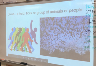 ChristyOlivera's tweet photo. I love to see teachers making small changes to support English Learners!    This was from a classroom where the teacher branched out with Google Slides to add visuals to new vocabulary! https://t.co/8FsNCXJzYl