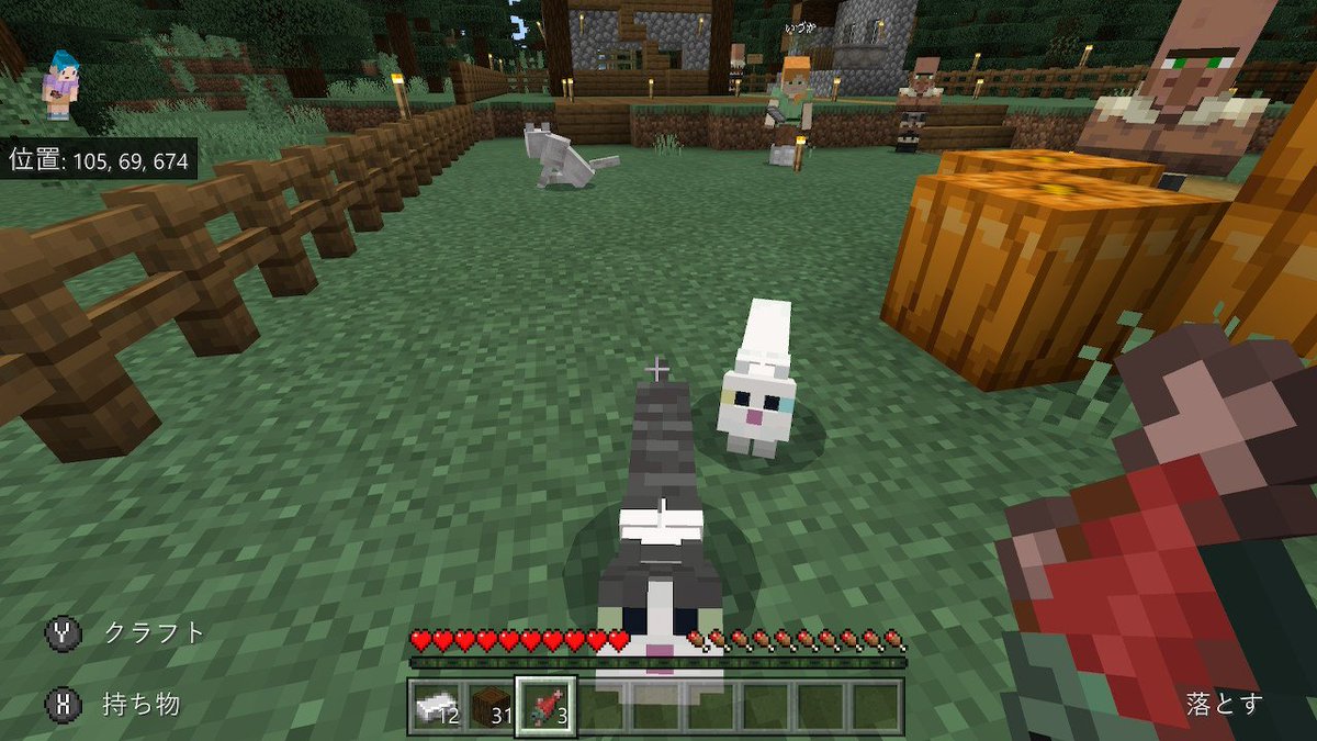 こあるひー オッドアイねこちゃんかわよ Minecraft マイクラ マインクラフト Nintendoswitch