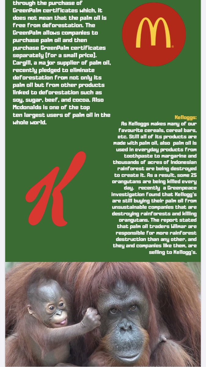 Why kill orangutans , they are worth more alive than dead #orangutan #animal #wildlife #endangered #ClimateChange