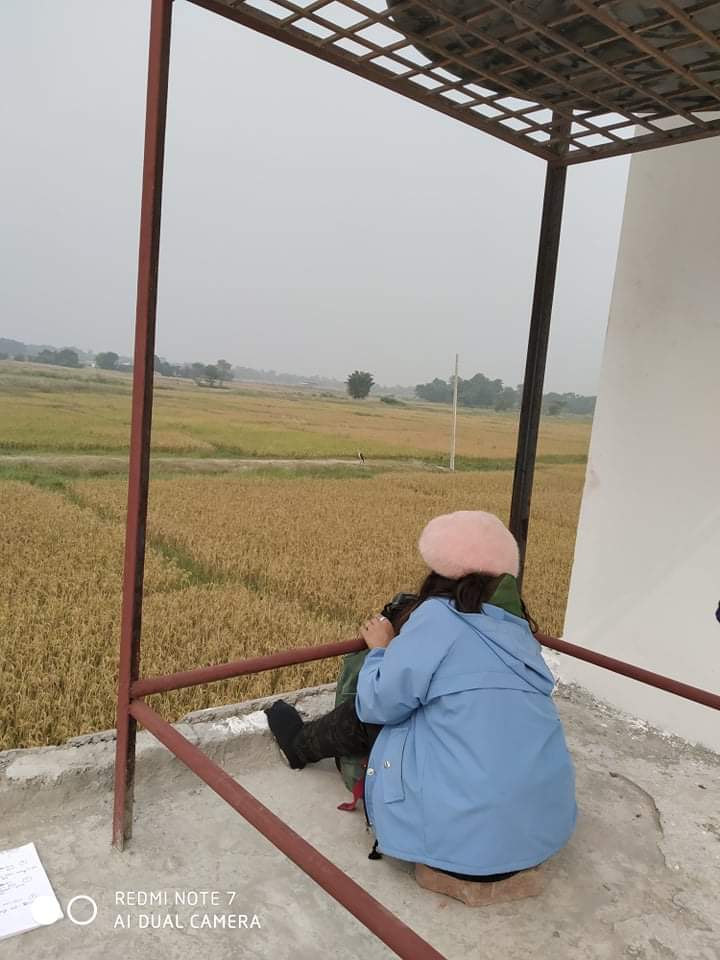 AWoollyneck's tweet photo. From the Field
Our team mate Miss Rojina Ghimire is collecting information on storks behavior from lowlands Nepal.
#storksbehavior #womeninconservation #wecareasianwoollyneck https://t.co/l89AmE4eFe