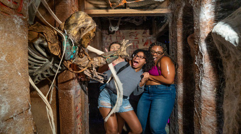DISUniversal's tweet image. Universal Orlando Resort Announces 2020 Dates for Halloween Horror Nights #HHN30

universal.wdwinfo.com/universal-orla…