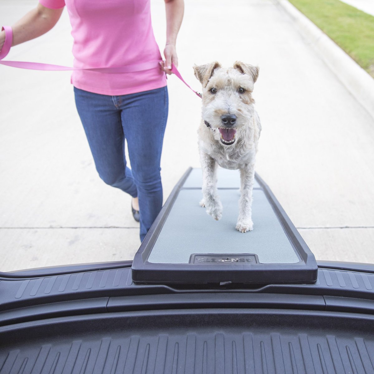 PetmateProducts's tweet photo. Your senior pet will feel like a young pup when they use their Gen7Pets Ramps! #gen7pets #seniorpetmonth https://t.co/HWNesrMRTM
