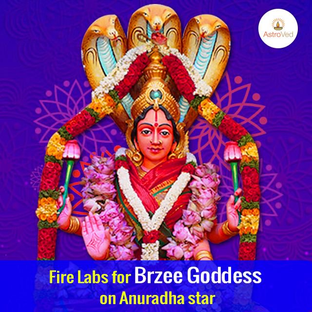 AstroVed's tweet photo. Fire Labs for #Brzee goddess on #Anuradha star, the birth star of Goddess #Lakshmi and the ‘star of success’ will help you create abundance in life. https://t.co/GDmVWycQK0 https://t.co/5x8avyFZZt