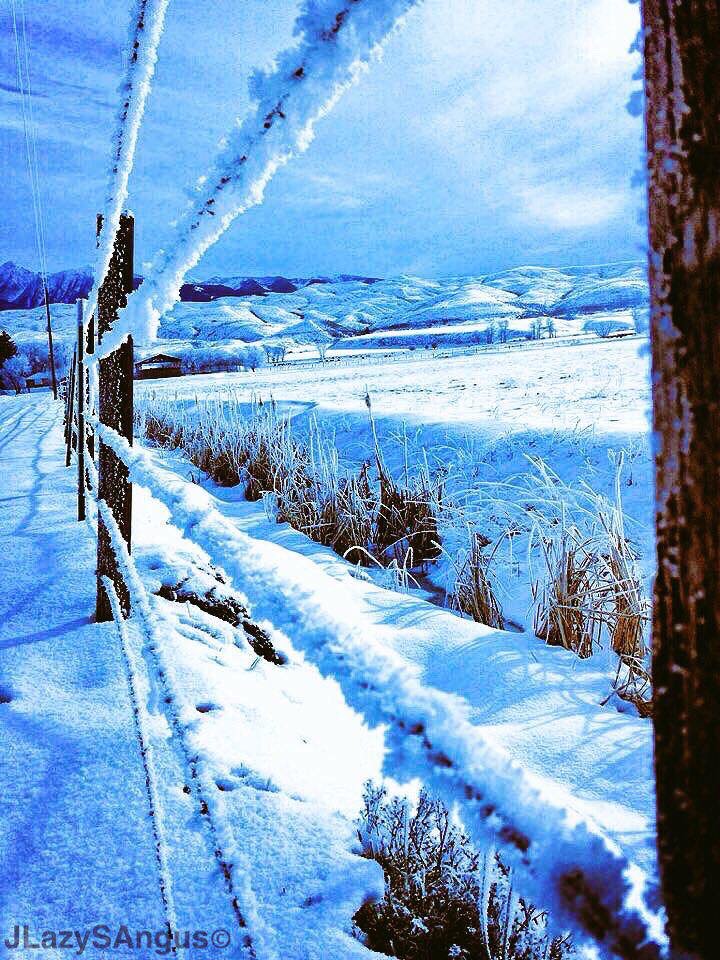 Get your fence ready fro winter at gallagherelectricfencing.com