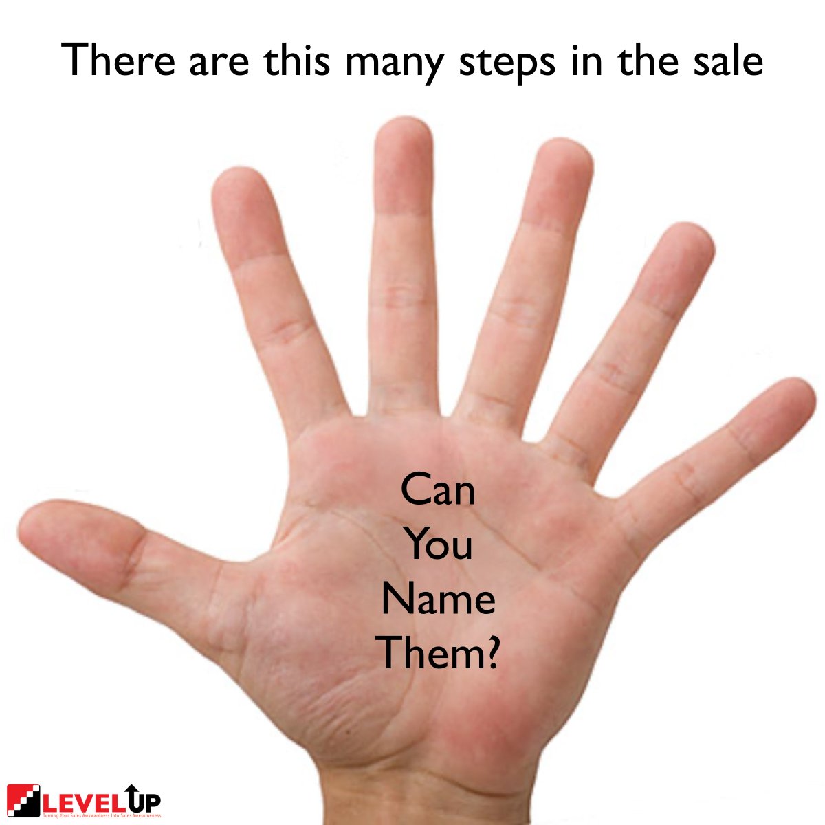 This week's topic of focus is The 6-Steps to the Sale and I thought this was a good way to start!

#SalesGPS #6StepsOfTheSale

levelupyoursales.com