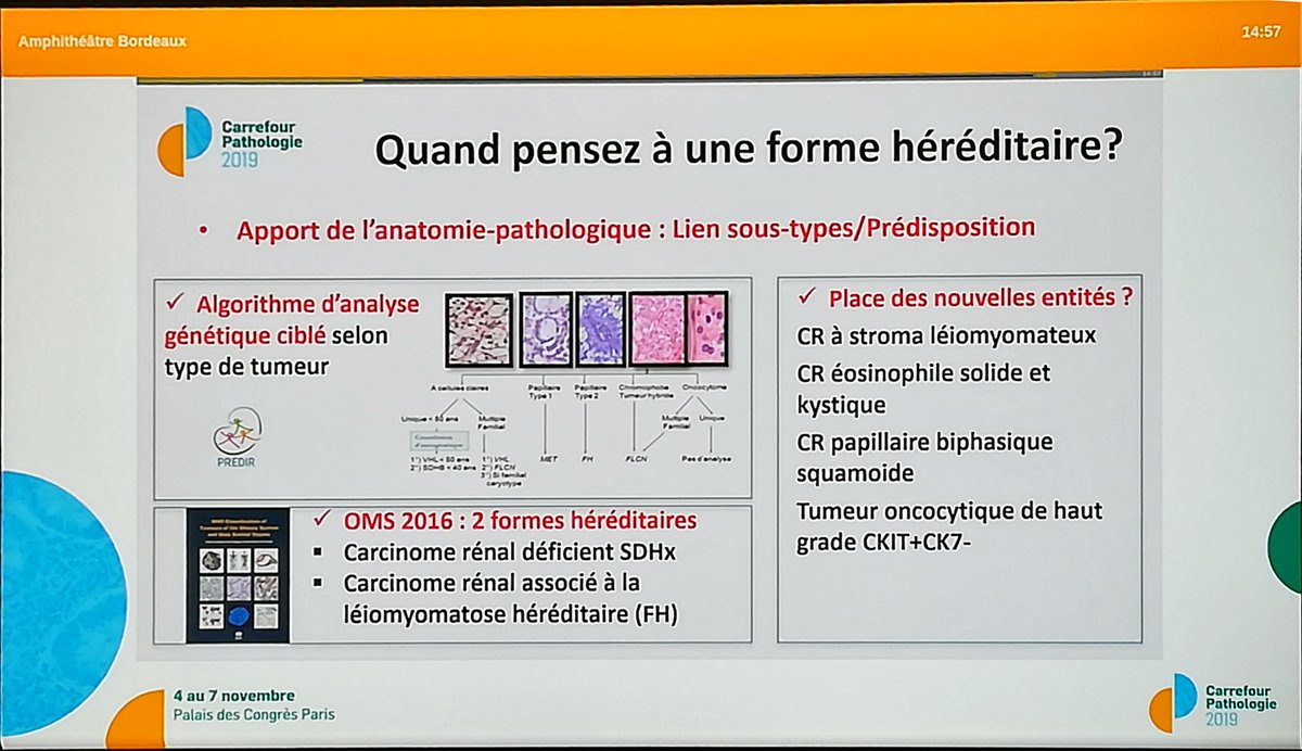 Annpathol's tweet image. "Renal tumors associated with hereditary predispositions in 2019" by @VerkarreVirgin2  Dr Virginie Verkarre
At #CarrefourPathologie2019