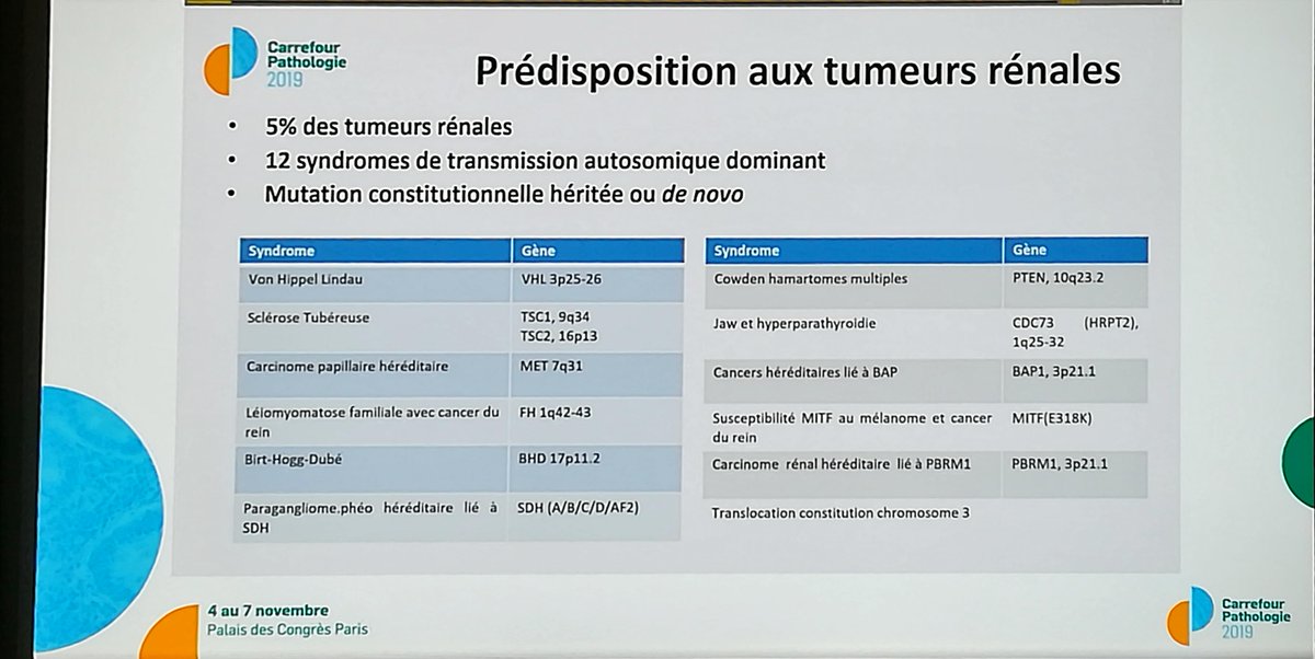 Annpathol's tweet image. "Renal tumors associated with hereditary predispositions in 2019" by @VerkarreVirgin2  Dr Virginie Verkarre
At #CarrefourPathologie2019