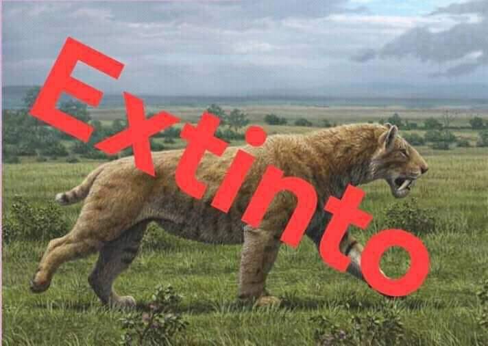 triste notícia
o tigre de dentes de sabre foi extinto 😔