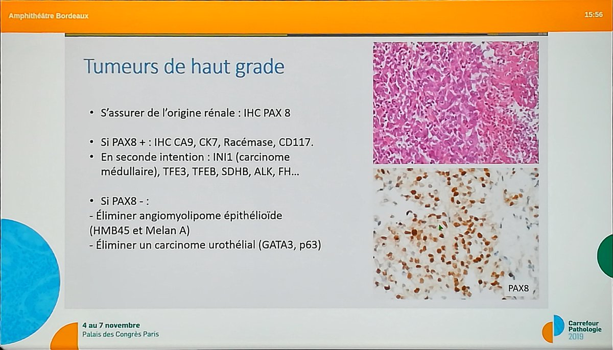 Annpathol's tweet image. 