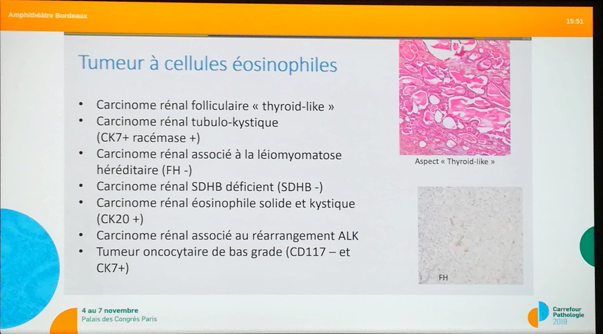 Annpathol's tweet image. 